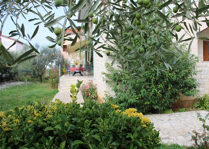 Paganor Appartement *